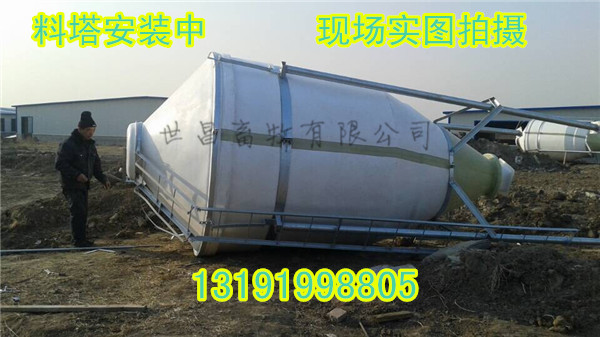 養豬設備全自動化供料系統批發